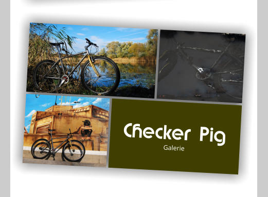 Checker Pig Galerie